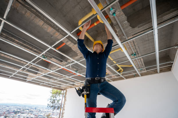 Best Emergency Plumbing Repair  in California, PA